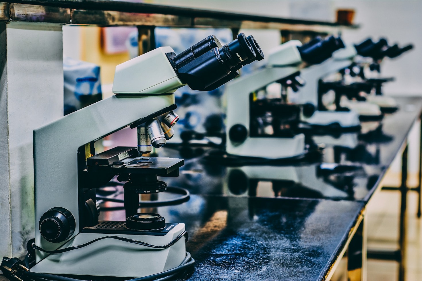 Les dernières découvertes de notre laboratoire
